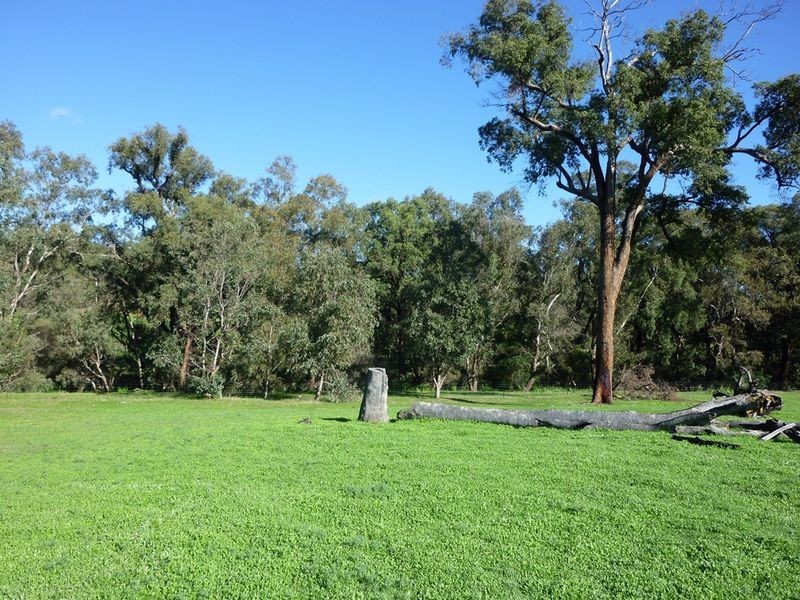 Lot 203 Reen Road, Gidgegannup WA 6083