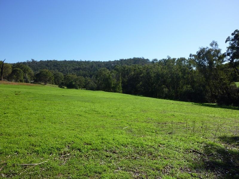 Lot 203 Reen Road, Gidgegannup WA 6083