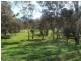Lot 203 Reen Road, Gidgegannup WA 6083