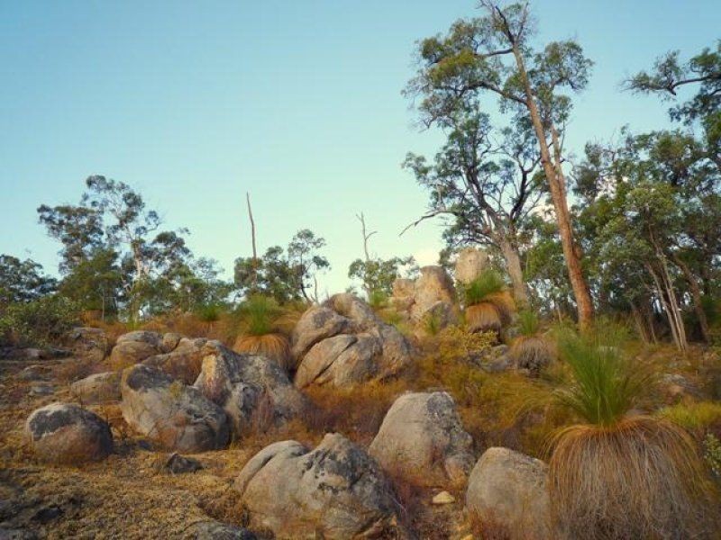 Lot 203 Reen Road, Gidgegannup WA 6083