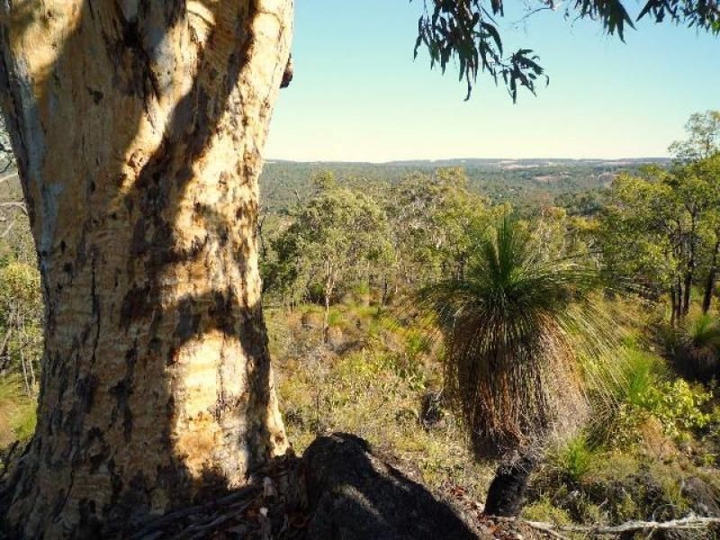 Lot 203 Reen Road, Gidgegannup WA 6083