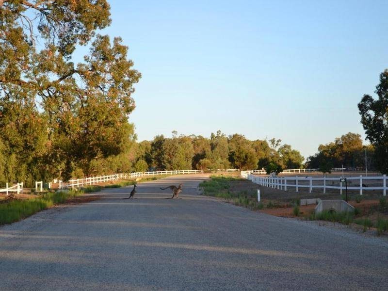 79 Tooday Glen, Chittering WA 6084