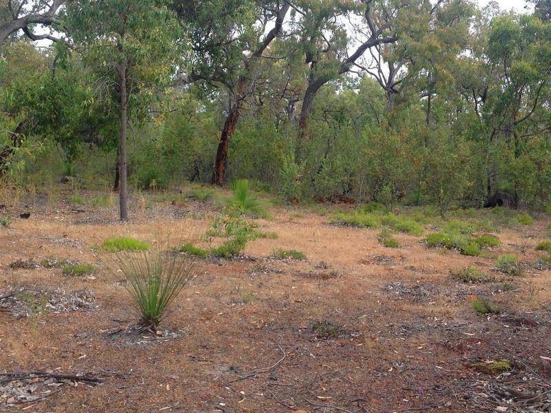 79 Tooday Glen, Chittering WA 6084