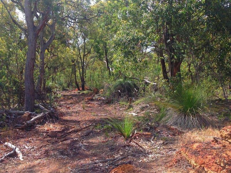 79 Tooday Glen, Chittering WA 6084