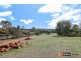 1120 Berry Road, Gidgegannup WA 6083
