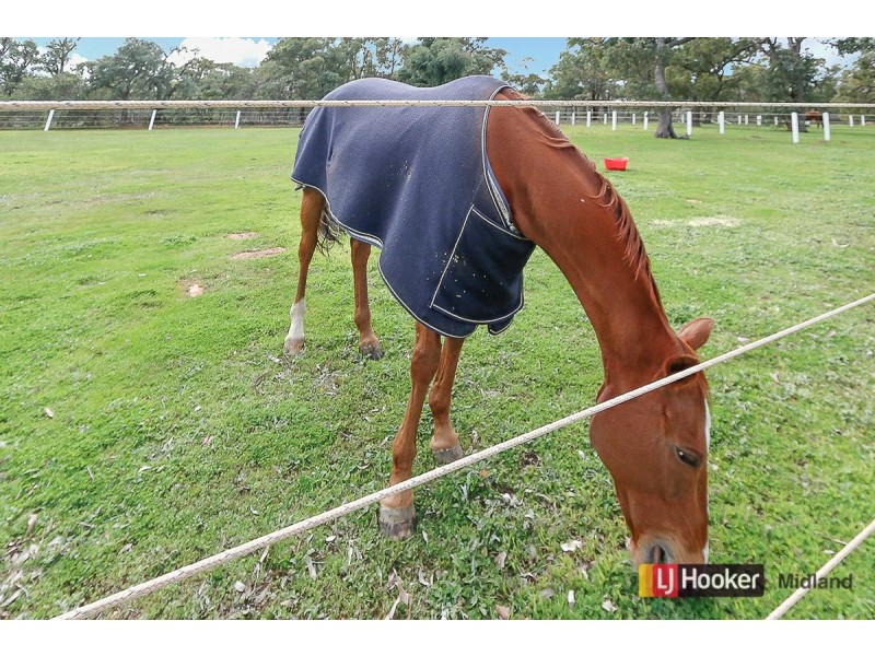 159 Clenton Road, Gidgegannup WA 6083