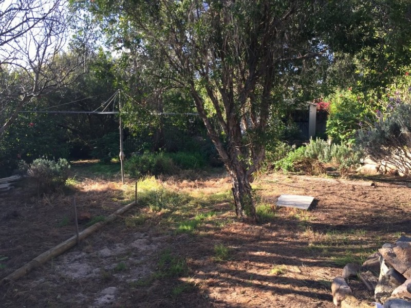 29 Bladon Way, Swan View WA 6056