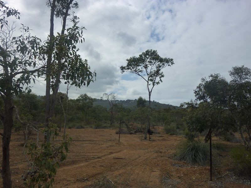 Wattle Grove WA 6107