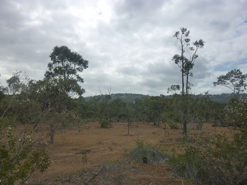 Wattle Grove WA 6107