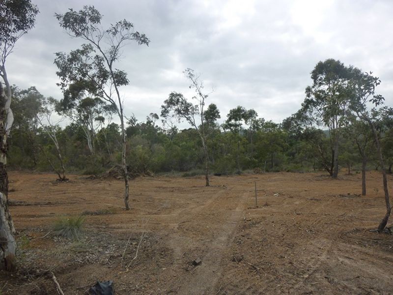 Wattle Grove WA 6107