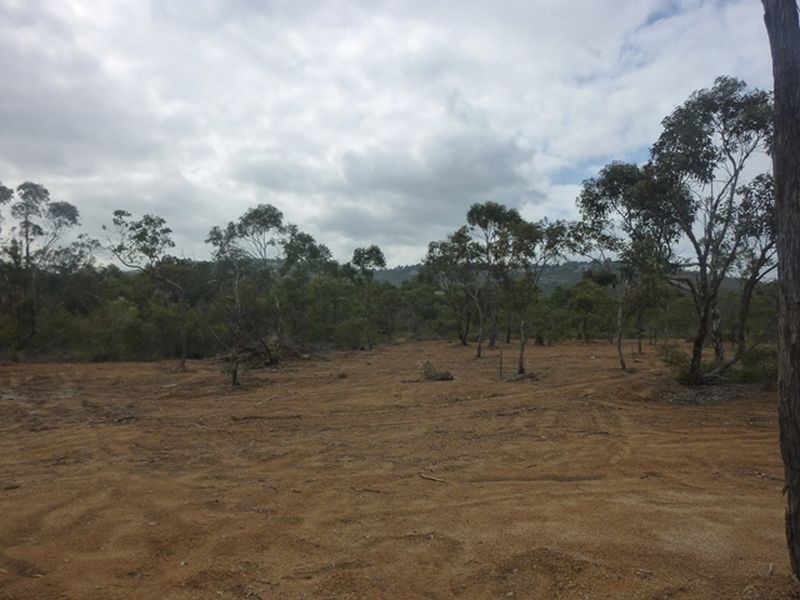 Wattle Grove WA 6107