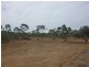 Wattle Grove WA 6107