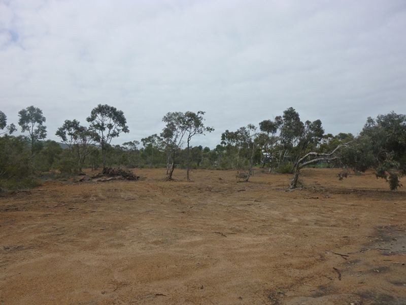 Wattle Grove WA 6107