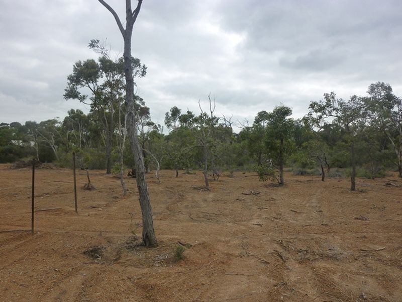 Wattle Grove WA 6107