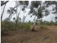 Wattle Grove WA 6107