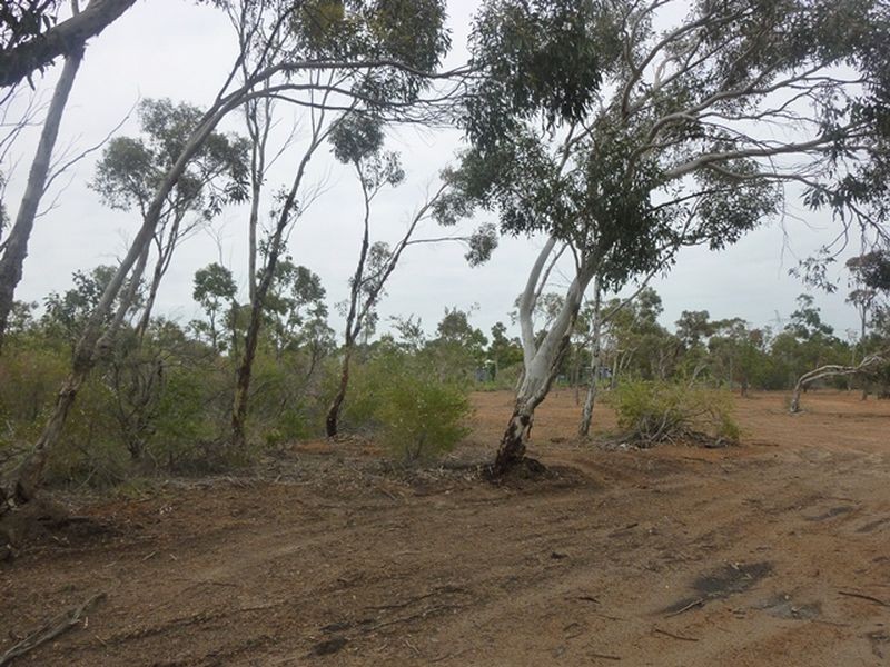 Wattle Grove WA 6107