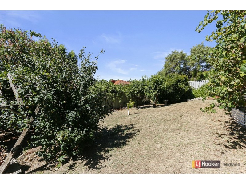 13 Buckingham Road, Swan View WA 6056