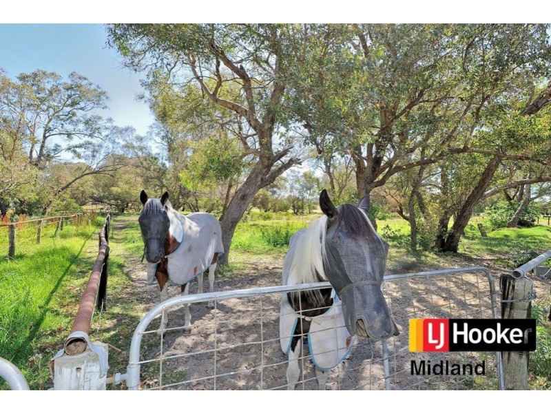 Lot 2 Arum Lily Place, Hazelmere WA 6055