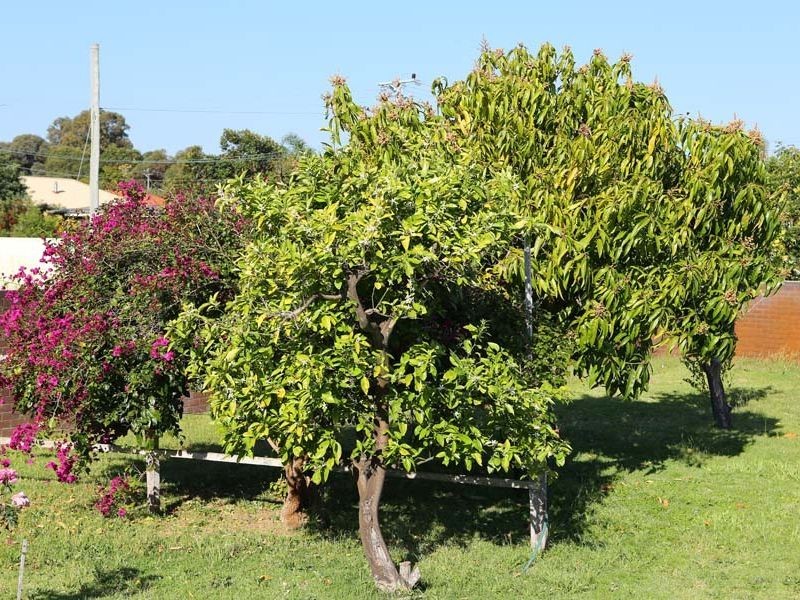 4 Winston Crescent, Viveash WA 6056