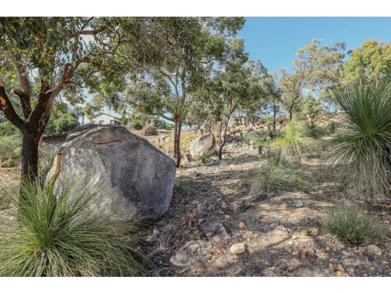 10 Grevillea Crescent, Swan View WA 6056