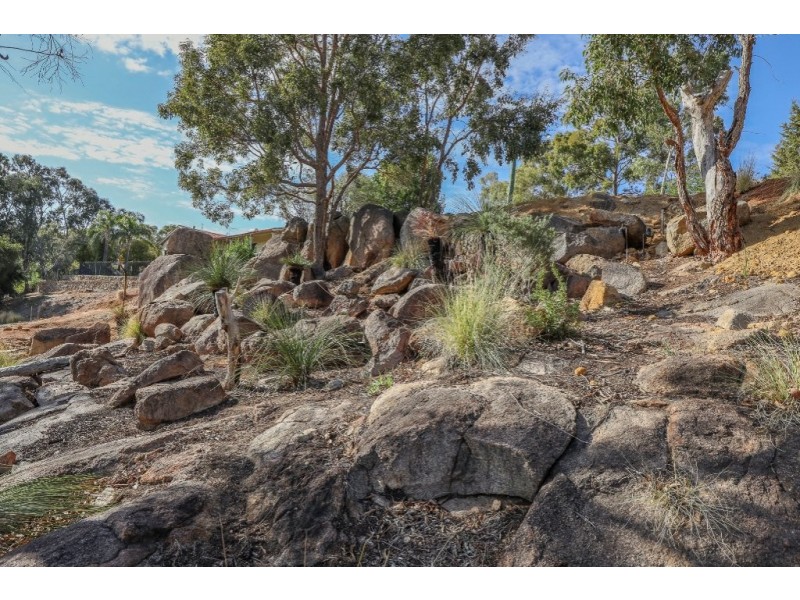 10 Grevillea Crescent, Swan View WA 6056