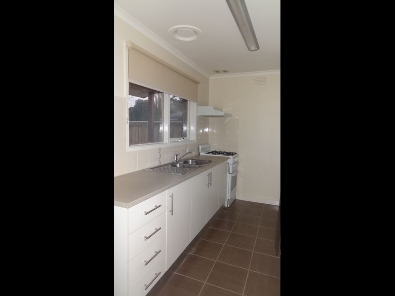 19 Bittern Drive, Endeavour Hills VIC 3802