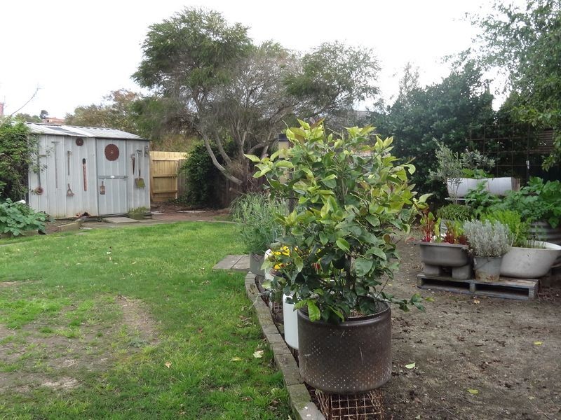 65 David Collins Drive, Endeavour Hills VIC 3802