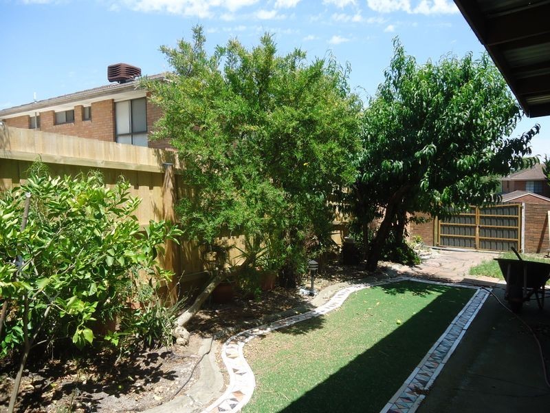 16 Springfield Drive, Narre Warren VIC 3805