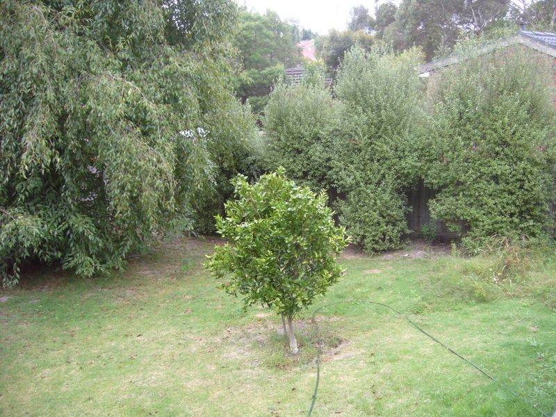 6 Coledale Close, Endeavour Hills VIC 3802