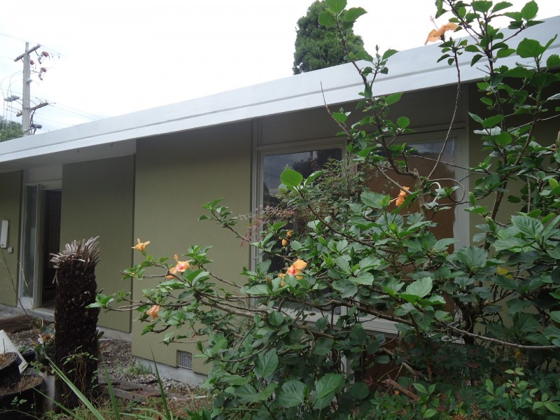 40 Forest Park Drive, Dingley Village VIC 3172