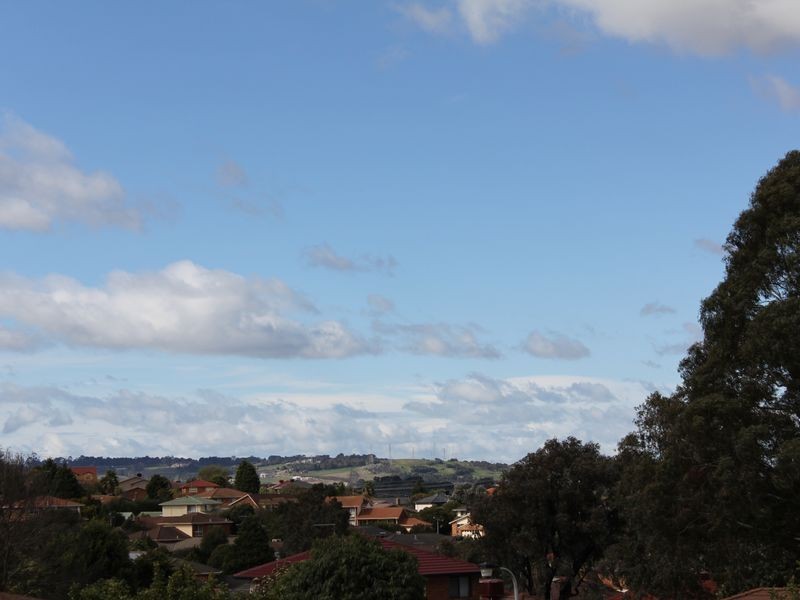 29 Thomas Mitchell Drive, Endeavour Hills VIC 3802