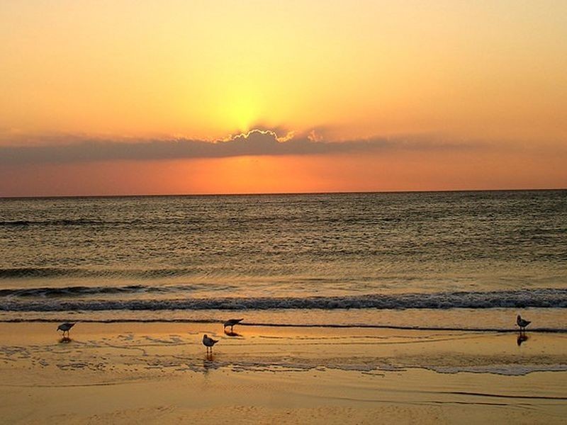 424 Nepean Higway, Chelsea VIC 3196