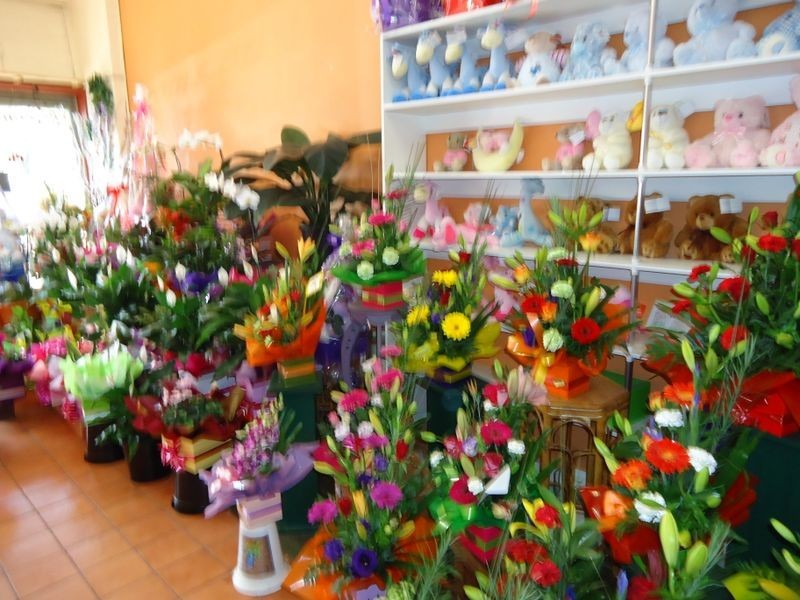 Dandenong North VIC 3175