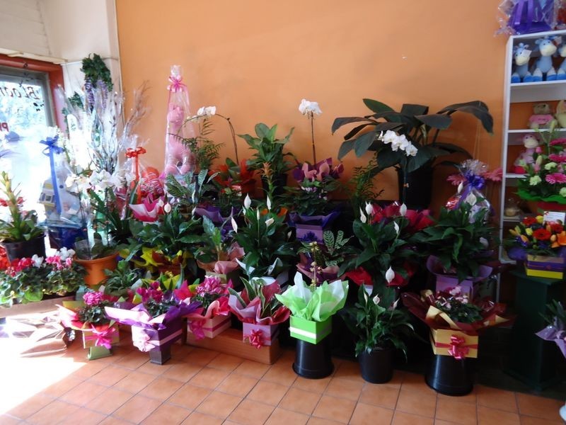 Dandenong North VIC 3175