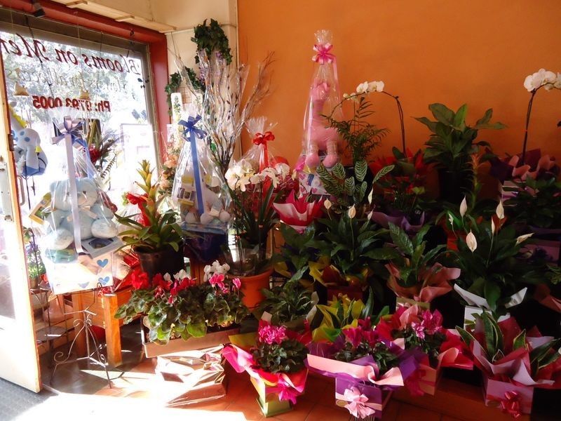 Dandenong North VIC 3175