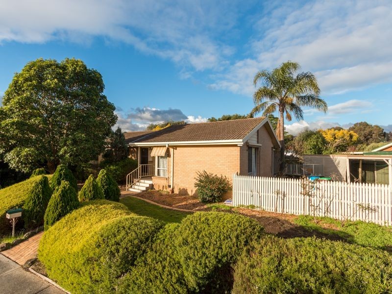 19 Amalfi Drive, Endeavour Hills VIC 3802