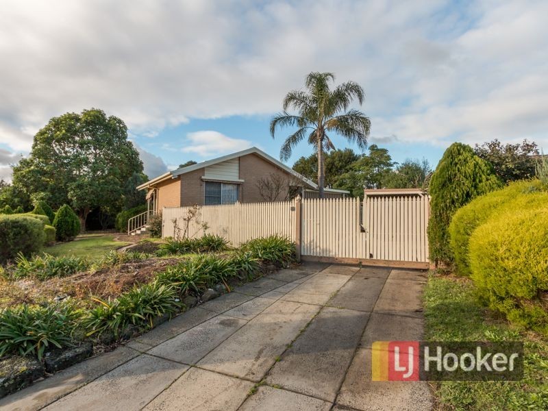 19 Amalfi Drive, Endeavour Hills VIC 3802