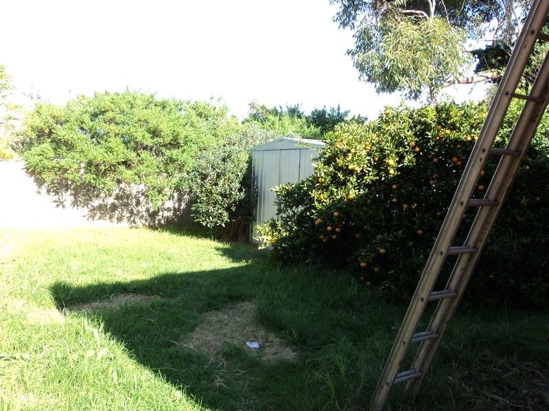 138 McFees Road, Dandenong North VIC 3175