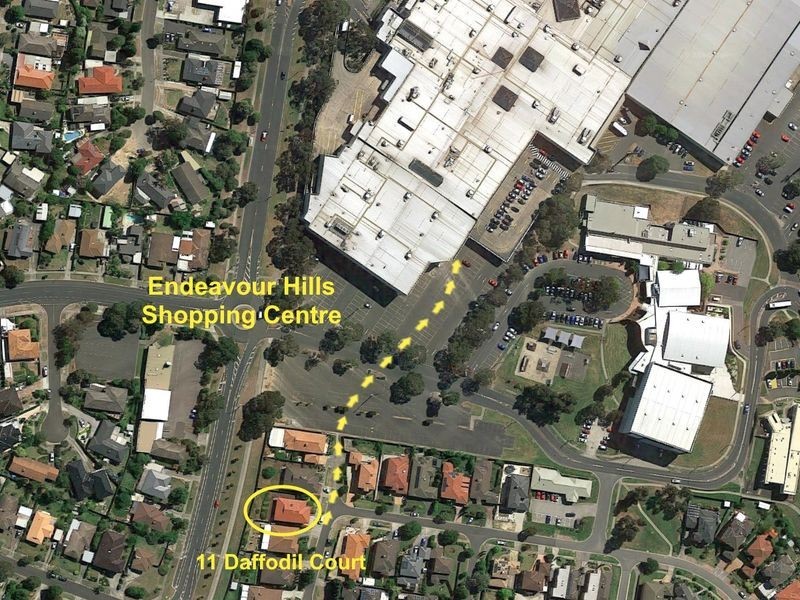 11 Daffodil Court, Endeavour Hills VIC 3802