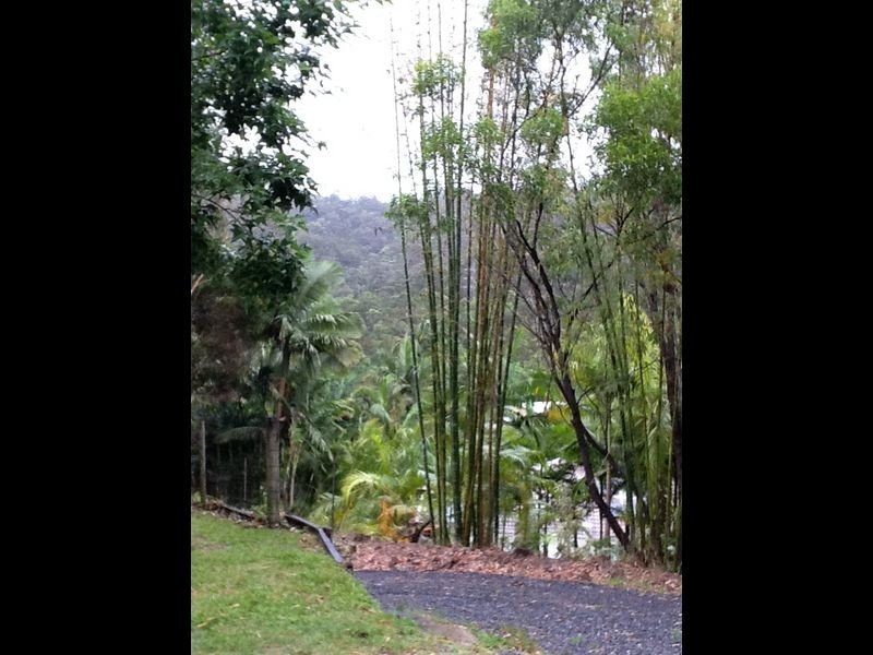 95 Monday Drive, Tallebudgera Valley QLD 4228