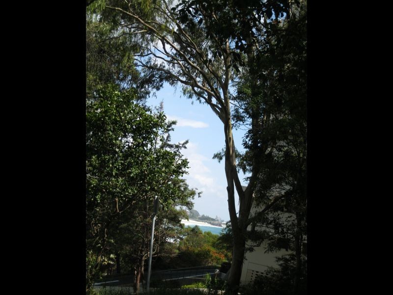 2/7 Albert Street, Burleigh Heads QLD 4220