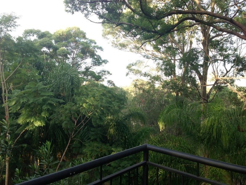 4 Harmes Pl, Tallebudgera QLD 4228