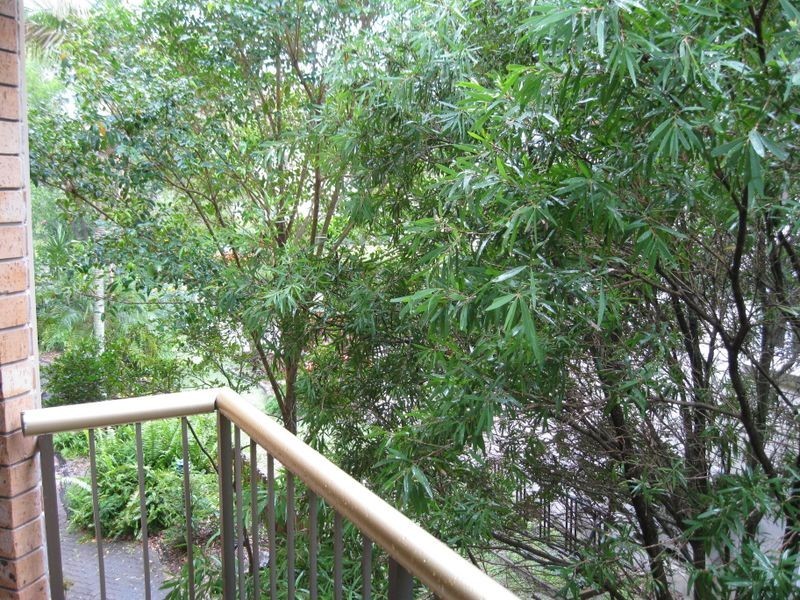 3/10 Mountain View Avenue, Miami QLD 4220