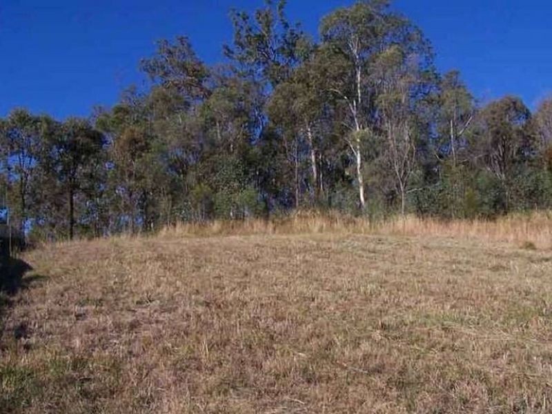 14 Coffeebush Court, Reedy Creek QLD 4227