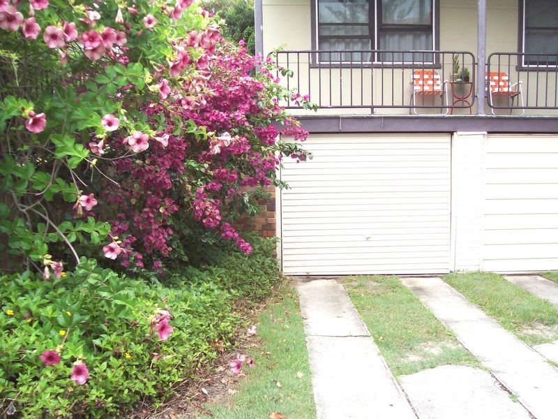 6/142 Pacific Parade, Bilinga QLD 4225