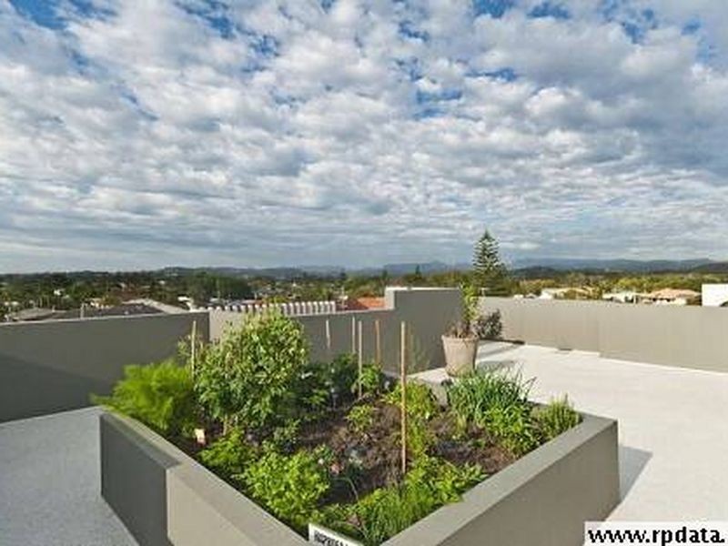 8 Murlong Cr, Palm Beach QLD 4221