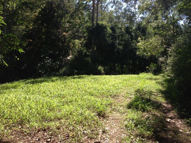 1781 North Arm Road, Bowraville NSW 2449