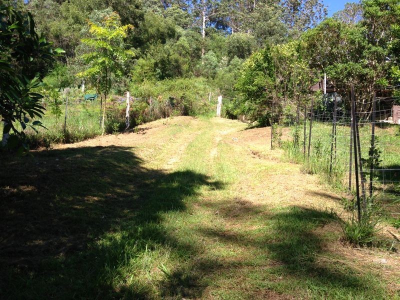 1781 North Arm Road, Bowraville NSW 2449