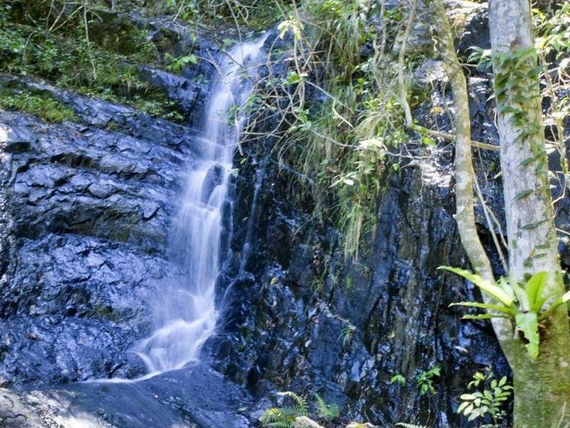 417 Fridays Creek Road, Upper Orara NSW 2450