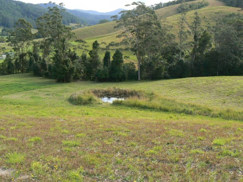 417 Fridays Creek Road, Upper Orara NSW 2450